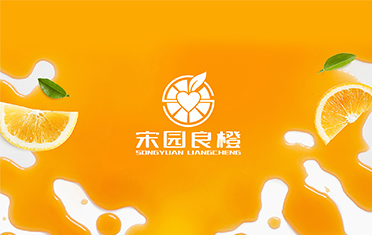 某良橙——呼和浩特LOGO设计