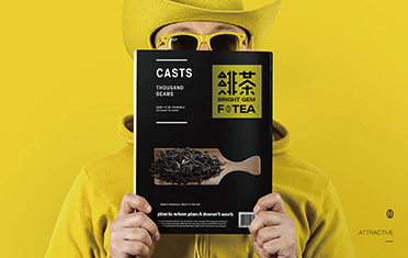 呼和浩特绯茶品牌设计
